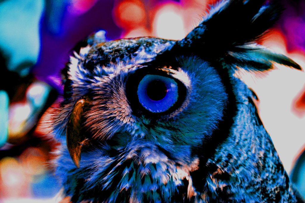 Blue #Owl. As an artAll-Over Print Unisex Tee shirt